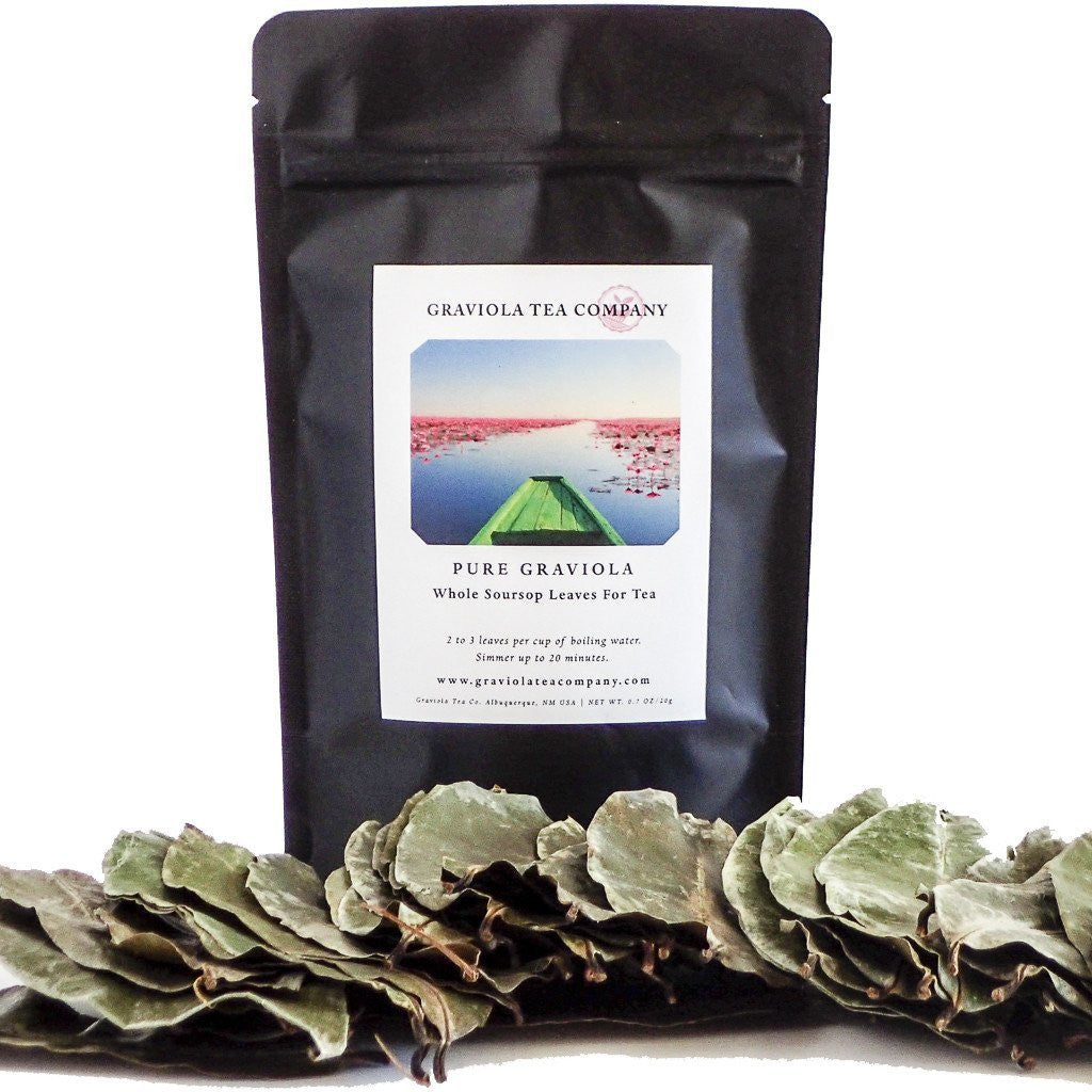 Pure Graviola - Whole Soursop Leaves for Tea - GraviolaTeaCompany - 2